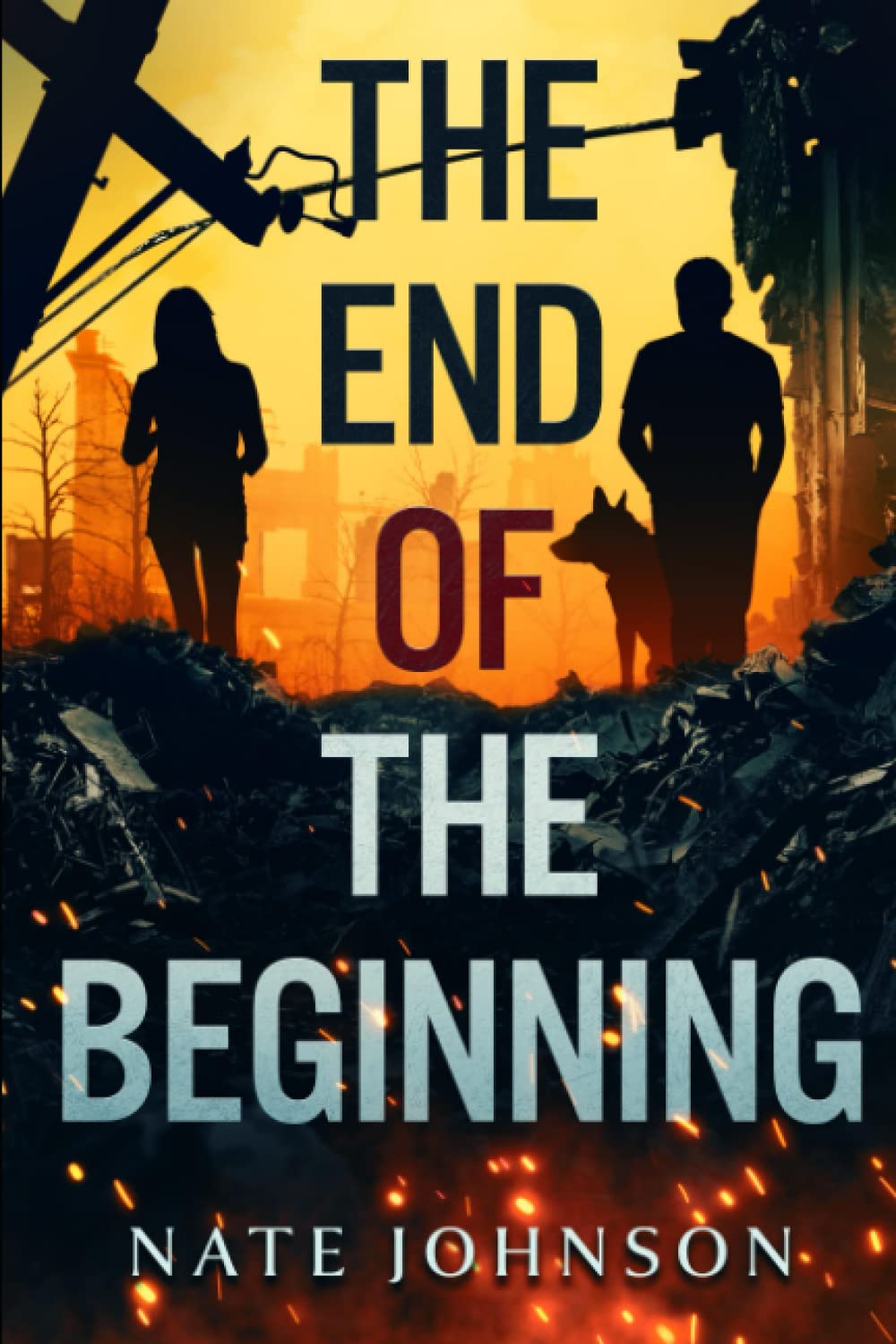 The End of the Beginning : Johnson, Nate: Amazon.ca: Books